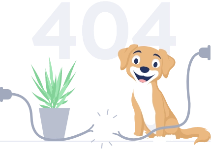 404