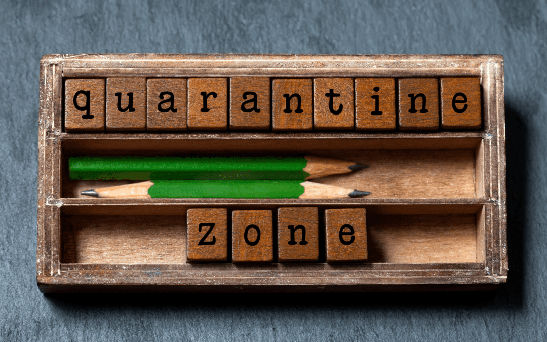Best app building ideas to utilize your quarantine time: Top trends for 2020